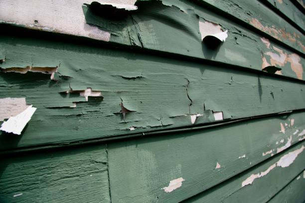 Best Same-Day Junk Removal Services  in Clever, MO